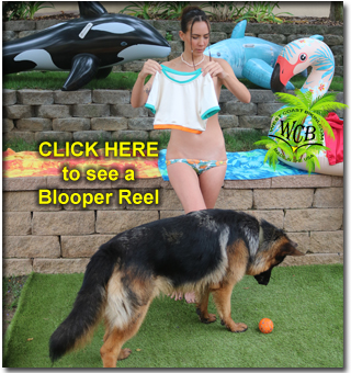 bikini, beach, swimwear, resort, models, nude, nudity, thong, g-string, beautiful, invisible bikini, brazil, USA, tattoo, ink, inked,tan